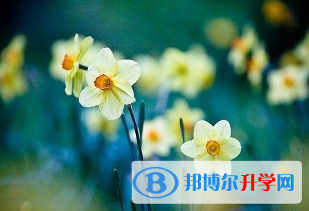 承德2021年中考重點復習