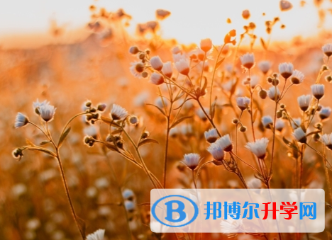 承德2021年中考準考證