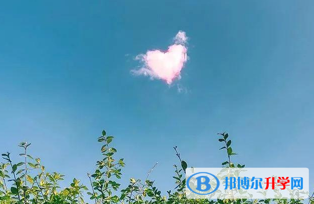 張家口2021年中考志愿填報(bào)網(wǎng)址