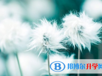 成都2021年中考看成績是在哪個網站