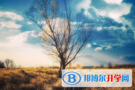 成都2021年查詢中考成績上哪個網(wǎng)站