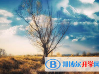 成都2021年查詢中考成績上哪個網(wǎng)站
