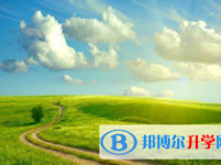 成都2021年今年的中考成績