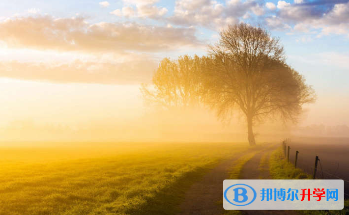 成都2021年中考報(bào)名查詢
