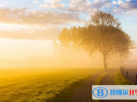 成都2021年中考報(bào)名查詢