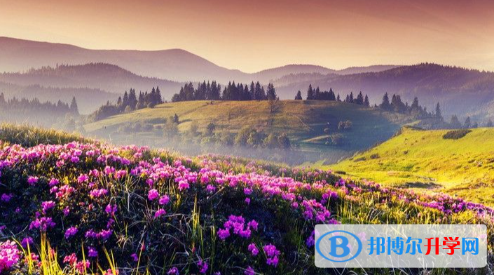 成都2021年中考成績查詢系統(tǒng)