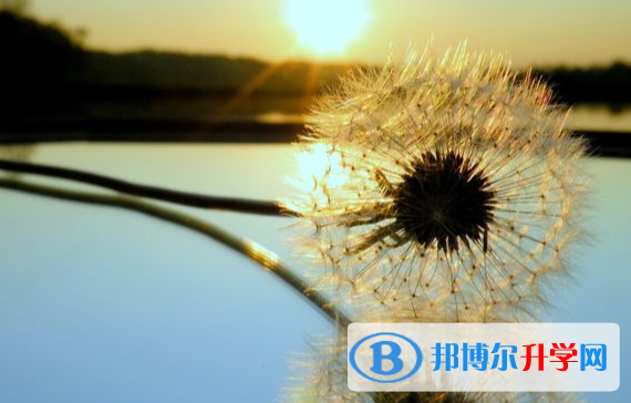 成都2021年中考成績好可以直升的中專