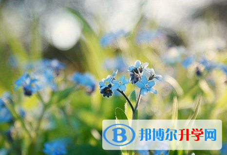 成都2021年中考報(bào)考攻略