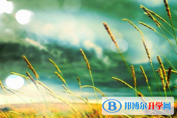成都2021年中考成績如何查詢