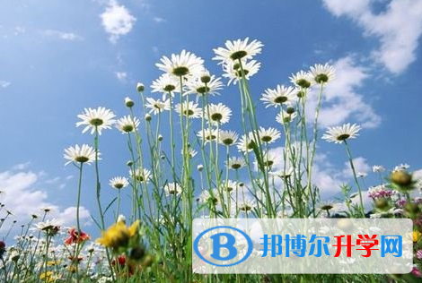 成都2021年中考報名系統