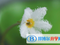 成都2021年中考錄取規劃線
