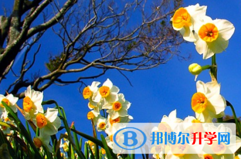 成都2021年中考線預(yù)測