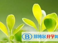 成都2021年中考報名