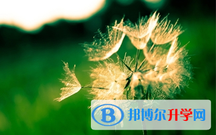 成都2021年中考報(bào)名網(wǎng)站登錄