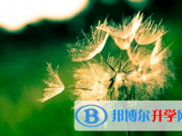 成都2021年中考報名網站登錄