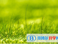 成都2021年中考報名網站是什么