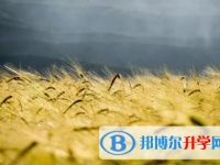 成都2021年中考網上志愿如何打印