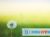 成都2021年優志愿中考版
