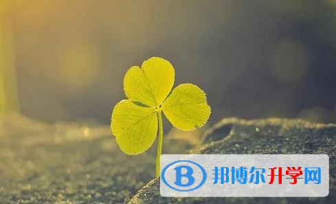 成都2021年中考調劑志愿