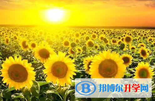 成都2021年中考志愿填報網址