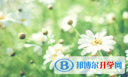 四川2021年如何查詢中考錄取結果