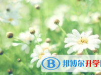四川2021年如何查詢中考錄取結(jié)果
