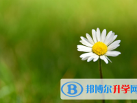 四川2021年怎樣從網上查詢中考成績
