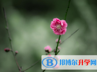 四川2021年中考報名查詢