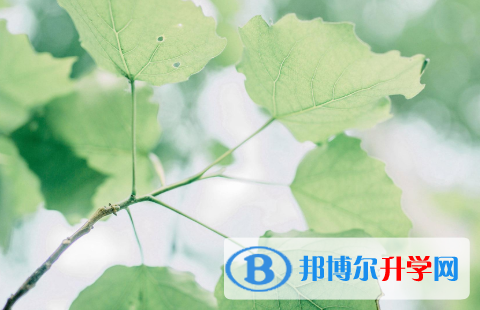 四川2021年中考查詢(xún)成績(jī)