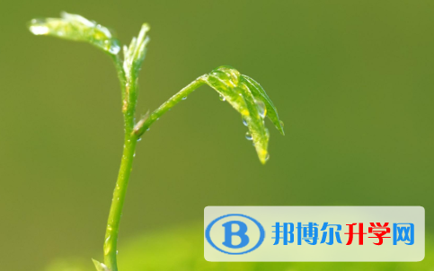 四川2021年中考查詢(xún)成績(jī)網(wǎng)址