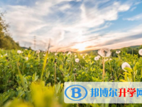 四川2021年中考成績查詢入口