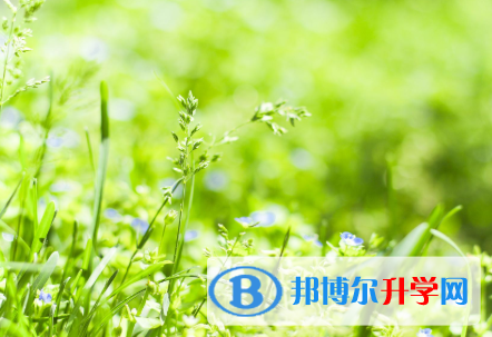 四川2021年中考成績公布時間