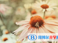 四川2021年中考成績查詢網址