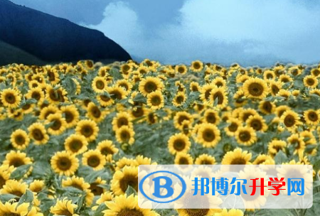 四川2021年中考多久出成績