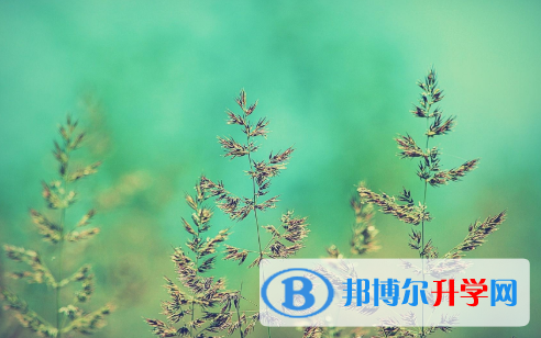 四川2021年中考看成績(jī)是在哪個(gè)網(wǎng)站