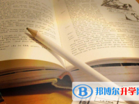 四川2021年近幾年中考重點線