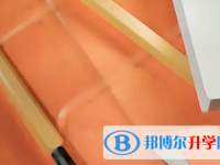 四川2021年近年中考重點線