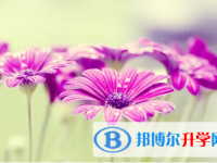 四川2021年中考報名網(wǎng)