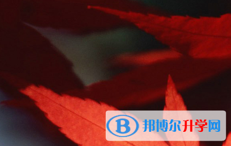 四川2021年中考報名網站