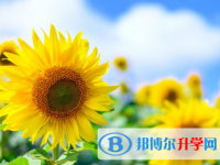四川2021年中考報名系統(tǒng)