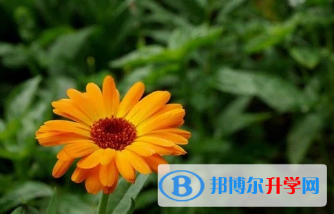 四川2021年中考成績什么時候公布