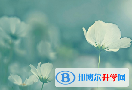四川2021年中考成績重點線