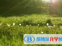 四川2021年中考錄取報名網(wǎng)