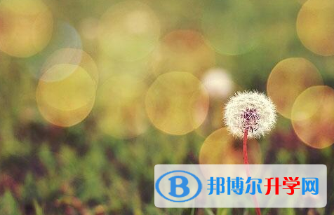 四川2021年中考錄取查詢(xún)?nèi)肟? width=