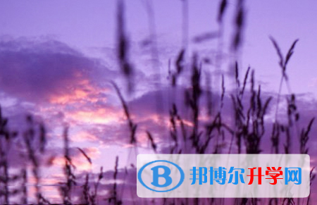 四川2021年中考錄取結果查詢