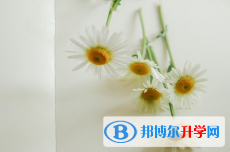四川2021年中考網報