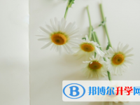 四川2021年中考網(wǎng)報