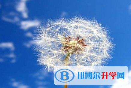 四川2021年中考網上報名