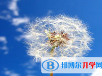 四川2021年中考網(wǎng)上報名