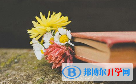 四川2021年中考網上查詢